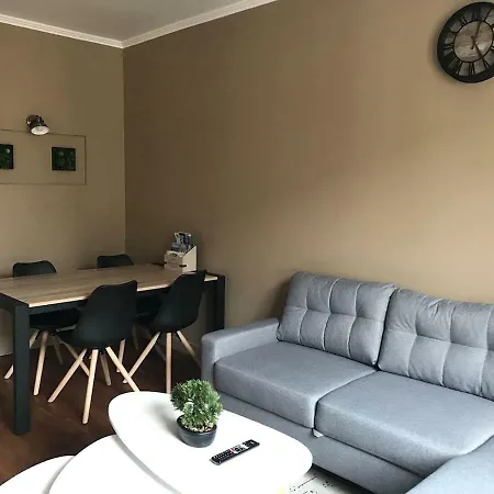 Lejlighed De Charme En Plein Coeur Du Centre De *